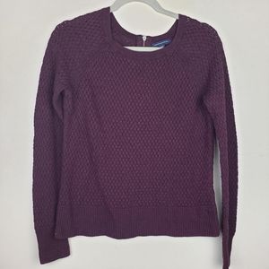 AEO Purple Sweater